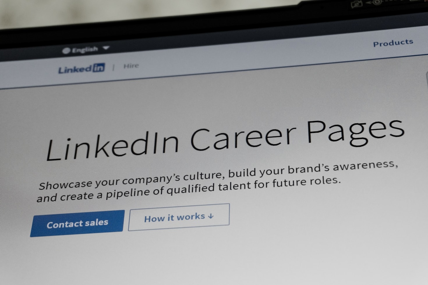 5 Ways Boost Bear Elevates Your Online Presence